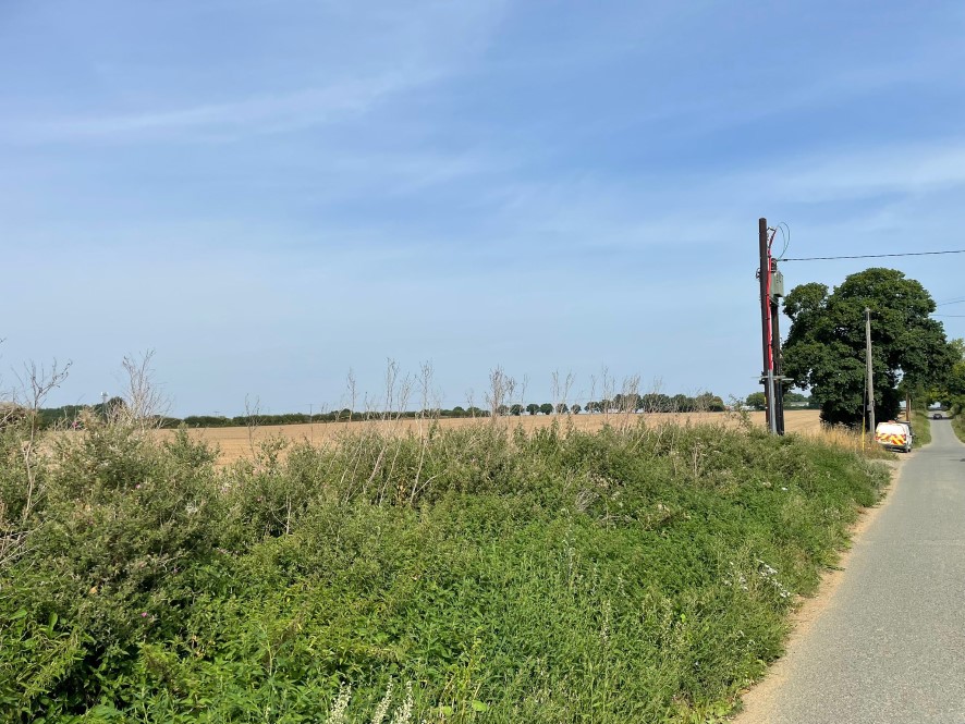 Lot Image