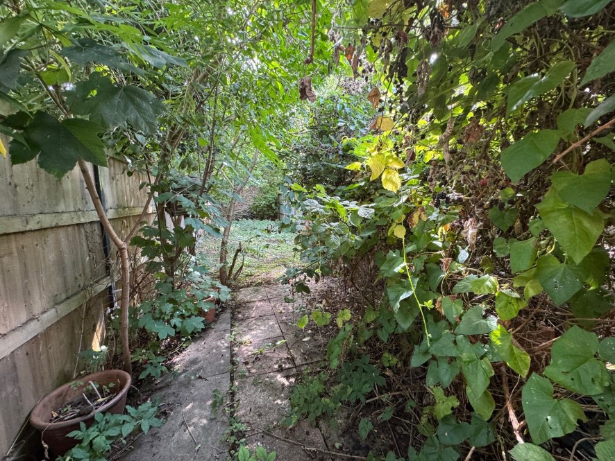 Lot Image