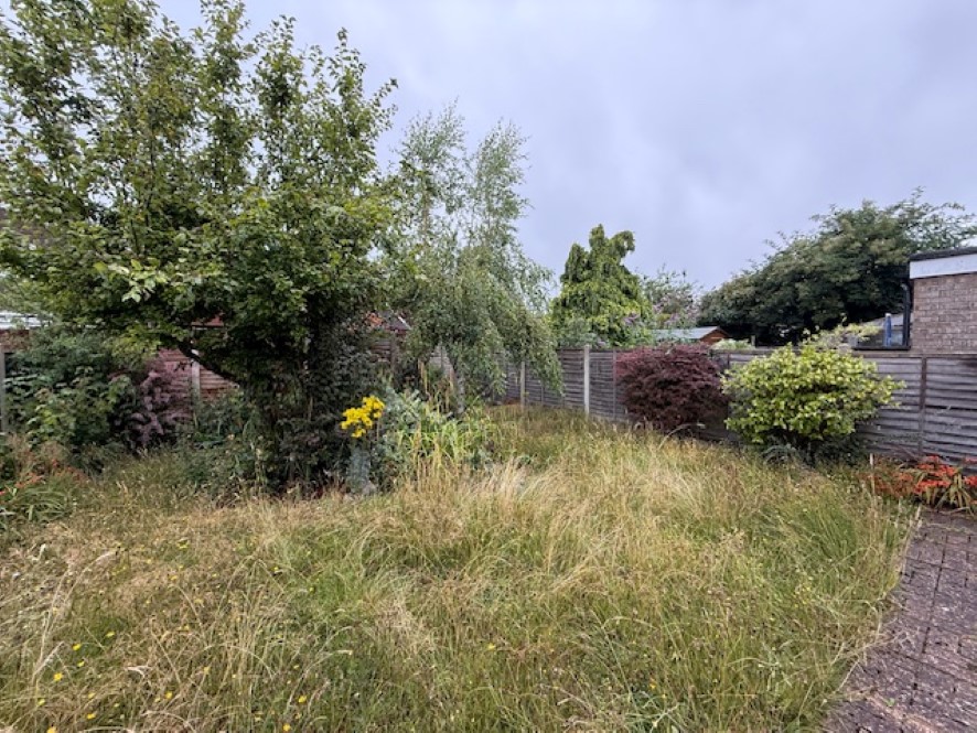 Lot Image