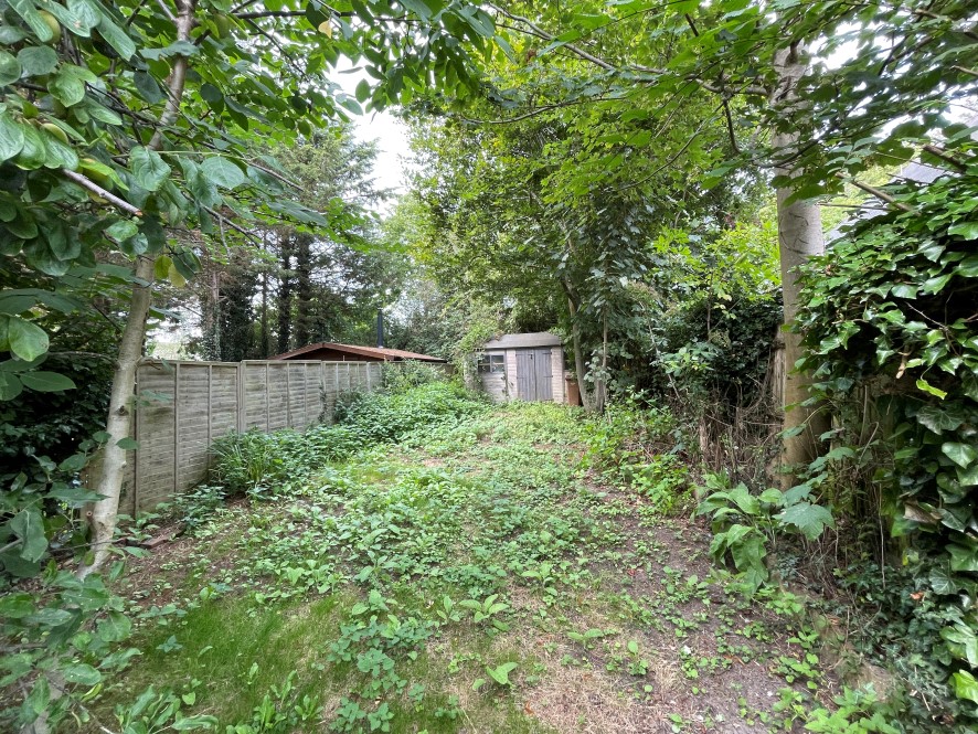Lot Image