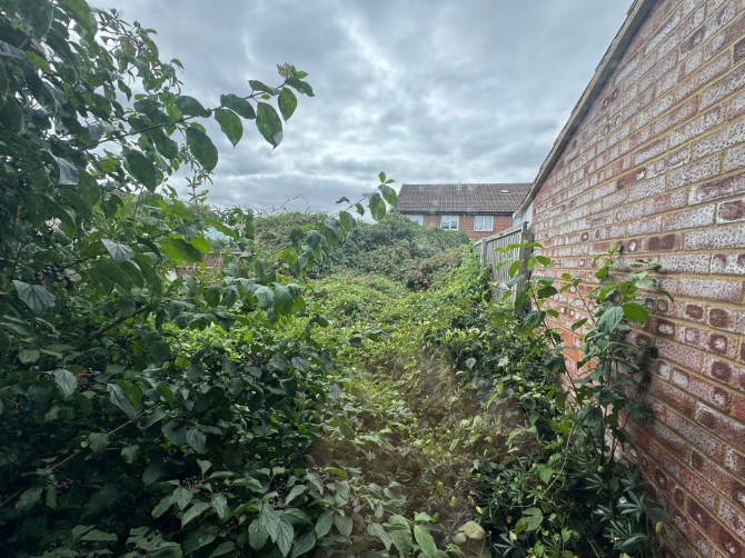 Lot Image