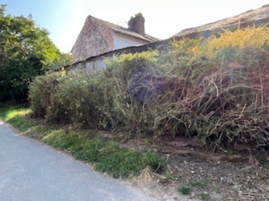 Lot Image