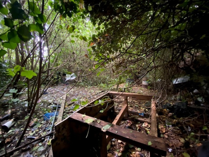 Lot Image