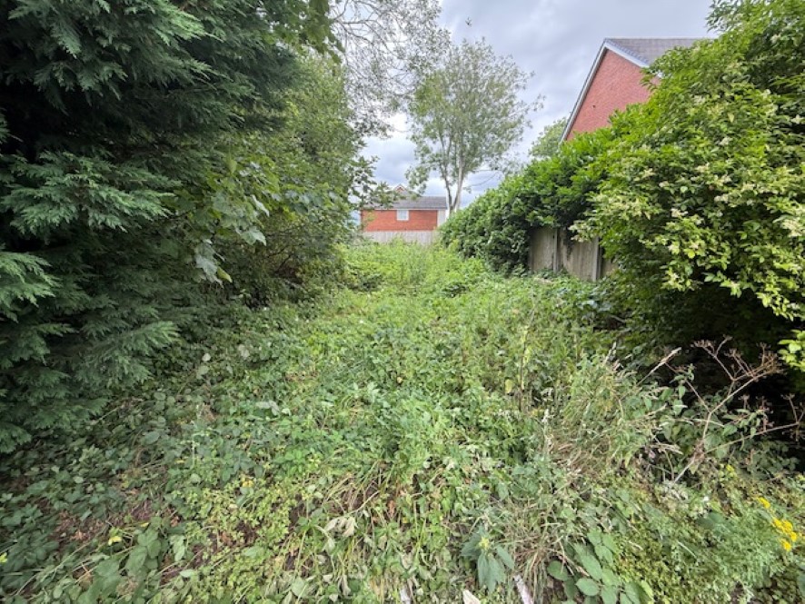 Lot Image