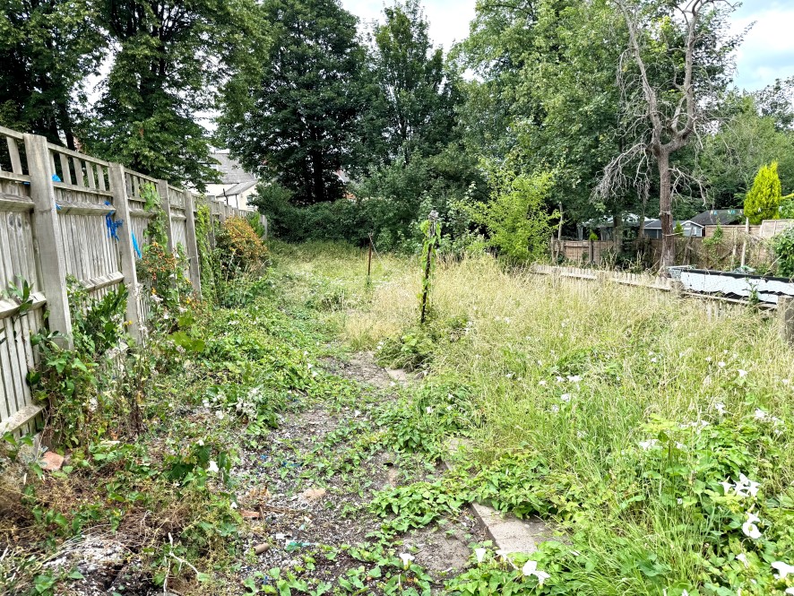 Lot Image
