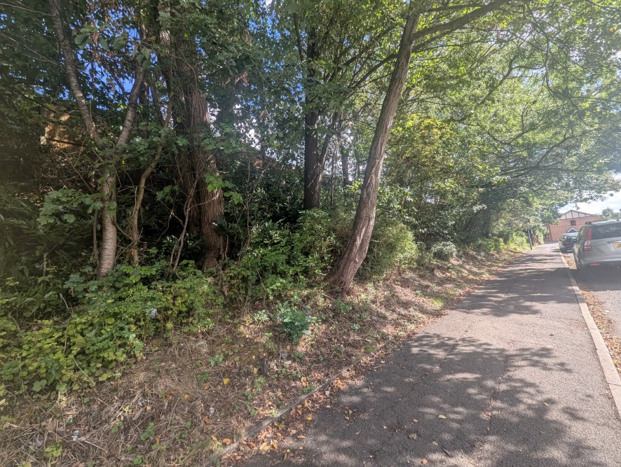 Lot Image