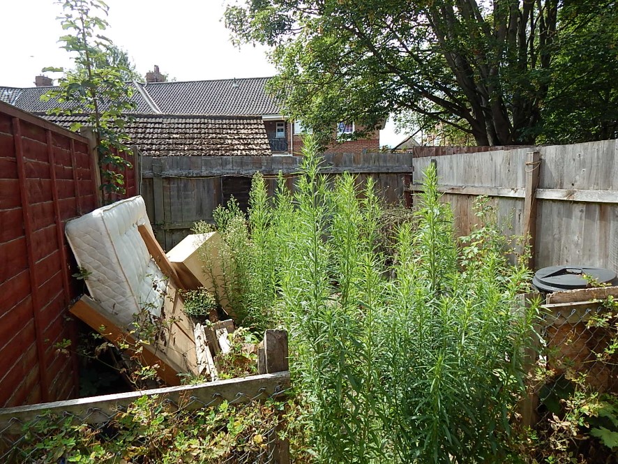 Lot Image