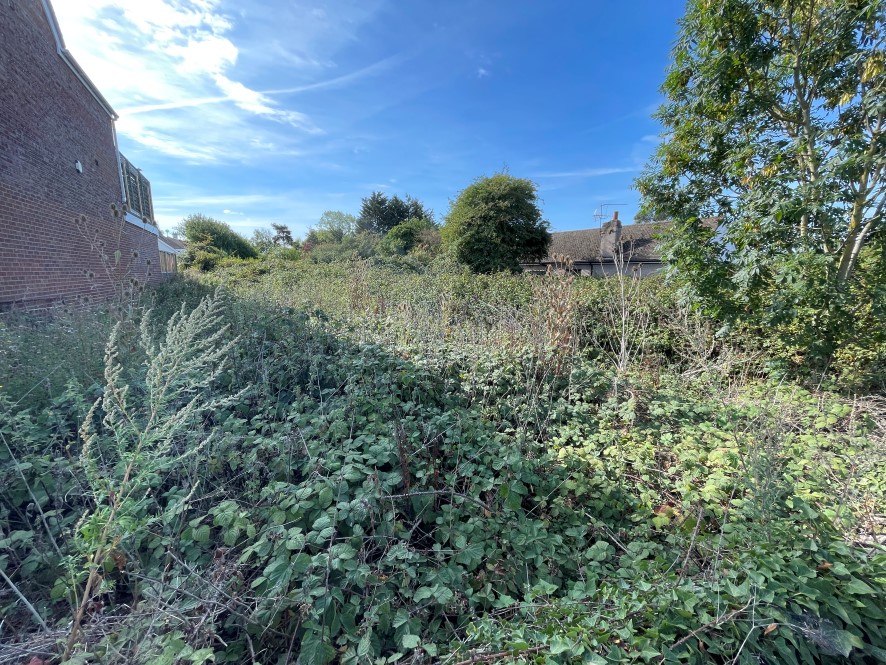 Lot Image