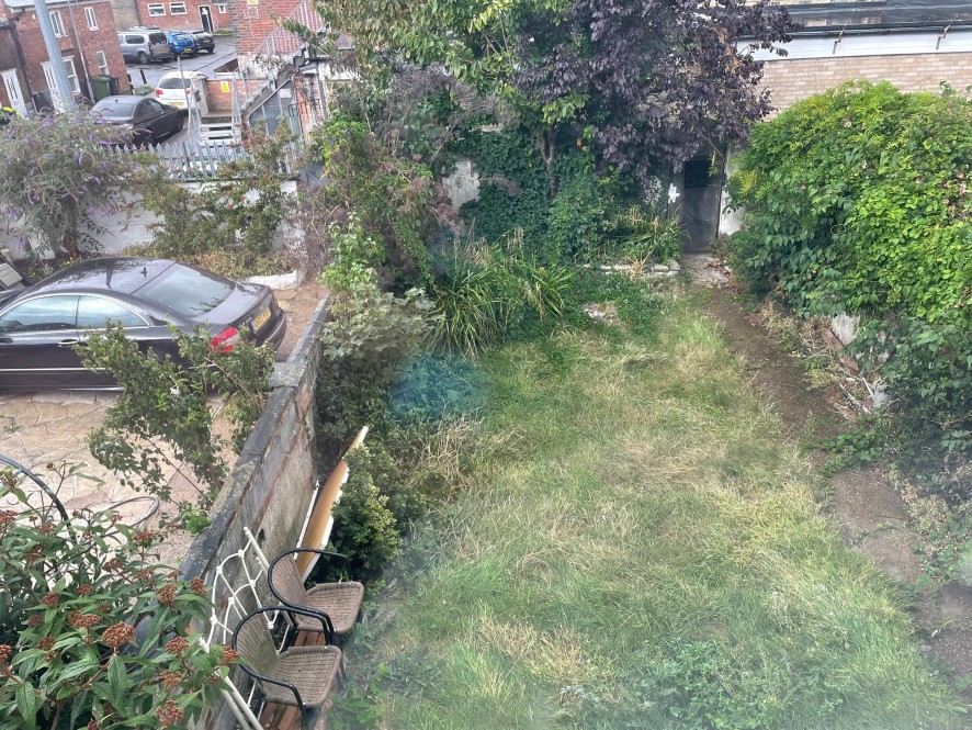 Lot Image