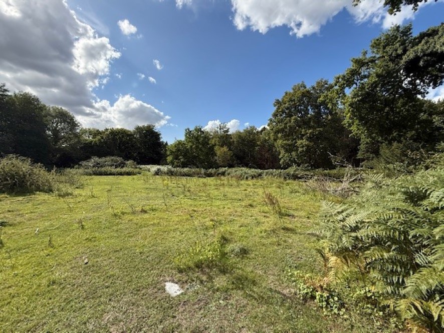 Lot Image