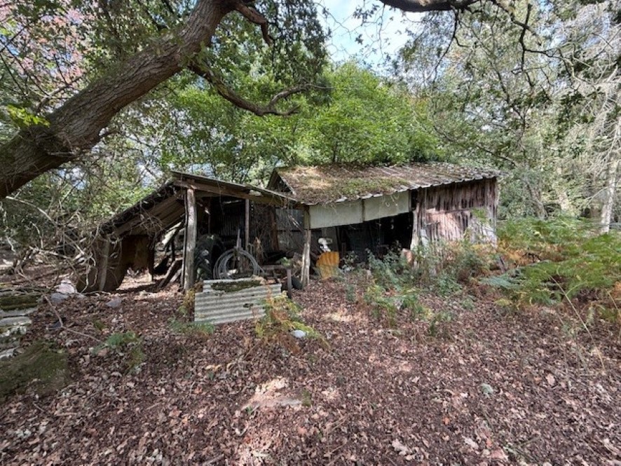 Lot Image