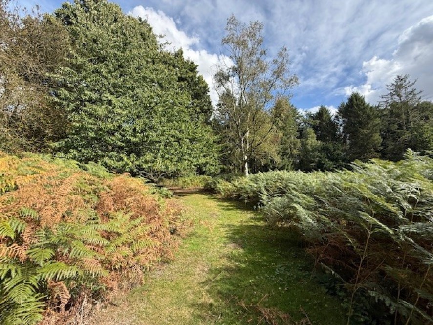 Lot Image