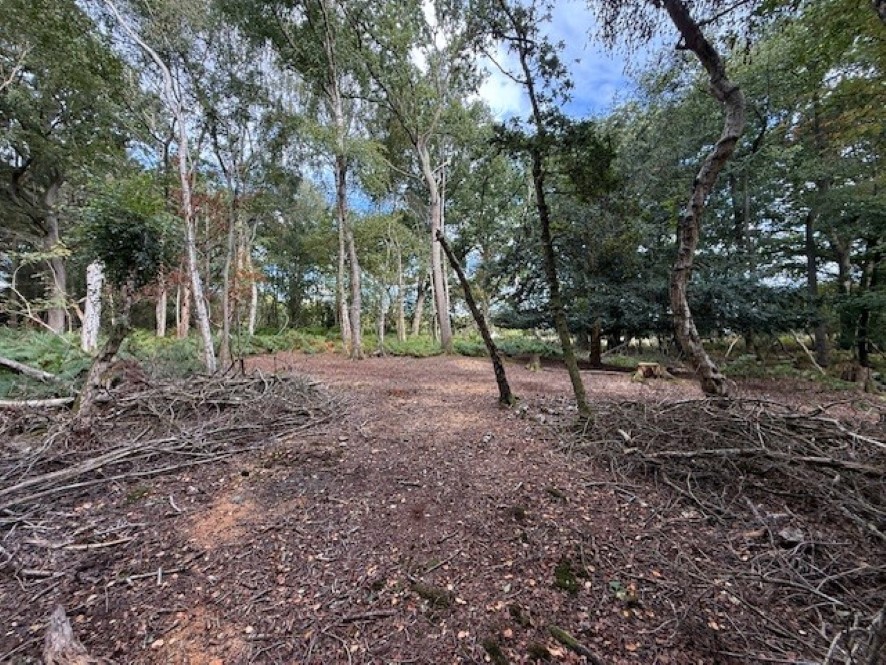 Lot Image