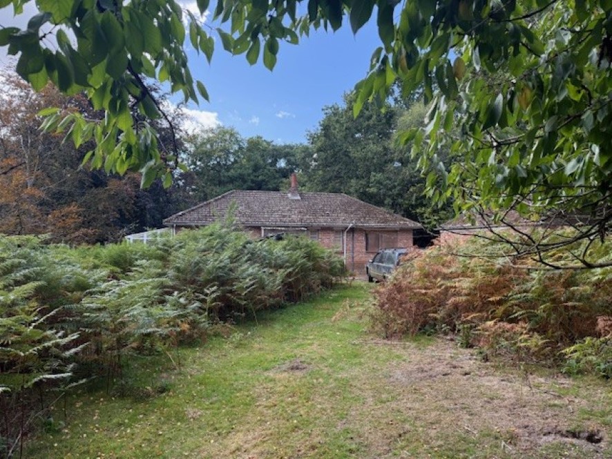 Lot Image