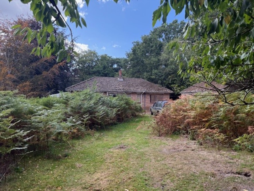 Lot Image