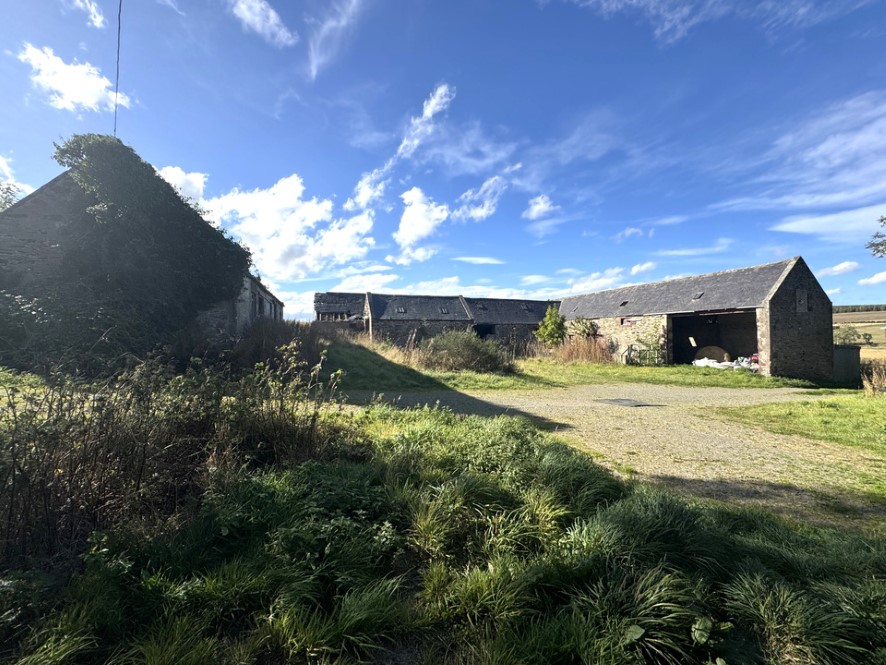 Lot Image