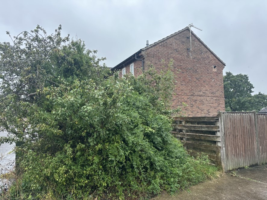 Lot Image