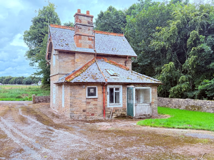 Lot Image