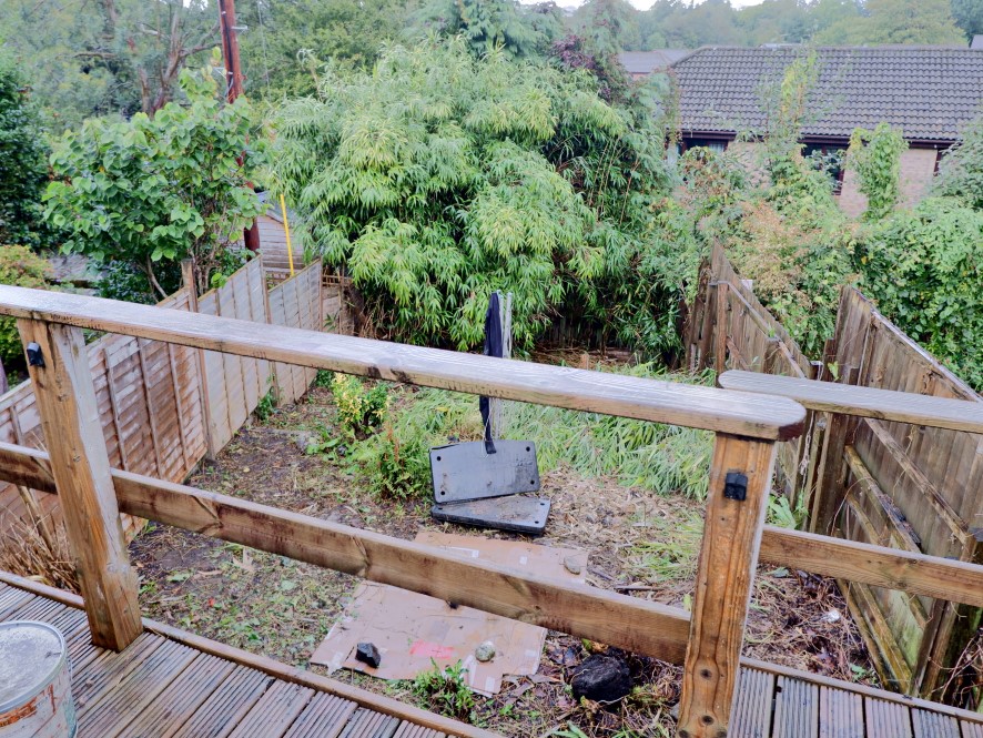 Lot Image