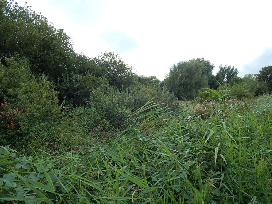 Lot Image