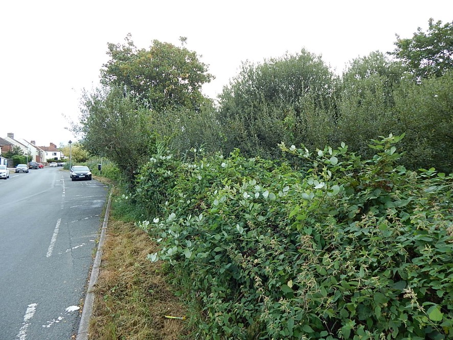 Lot Image