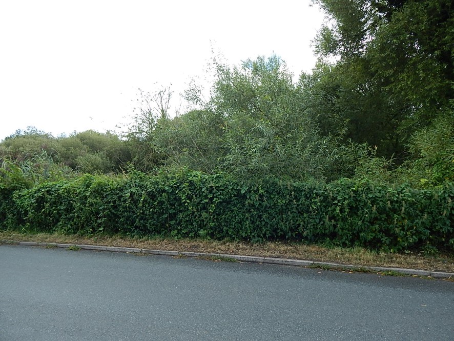 Lot Image