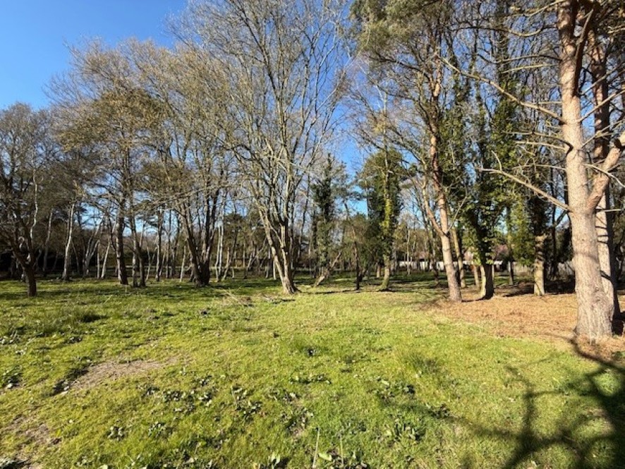 Lot Image