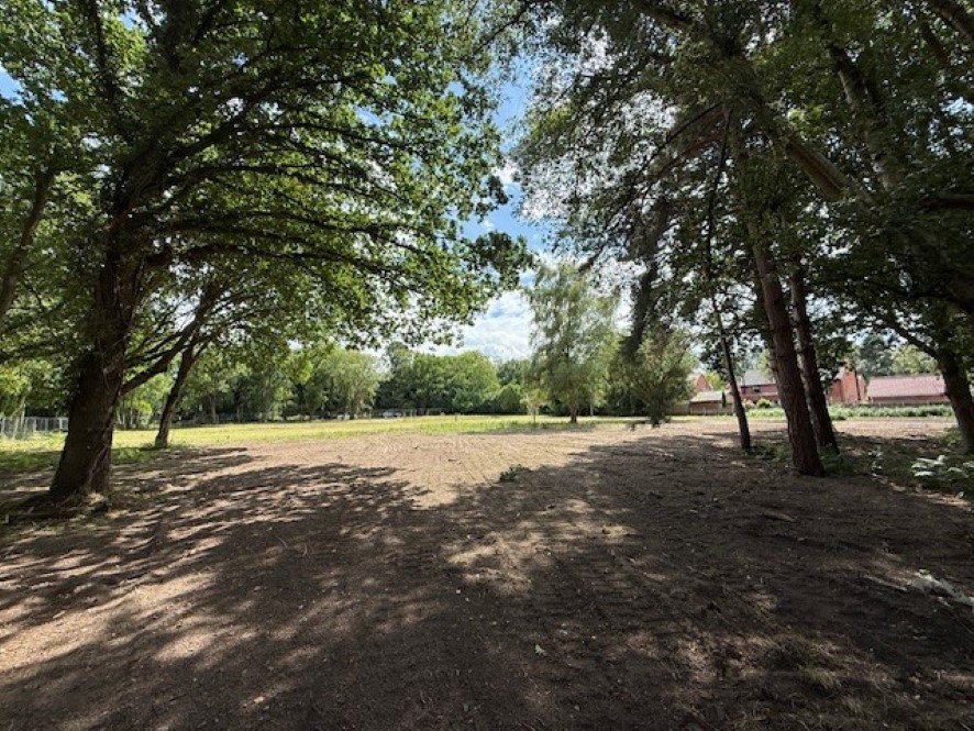 Lot Image