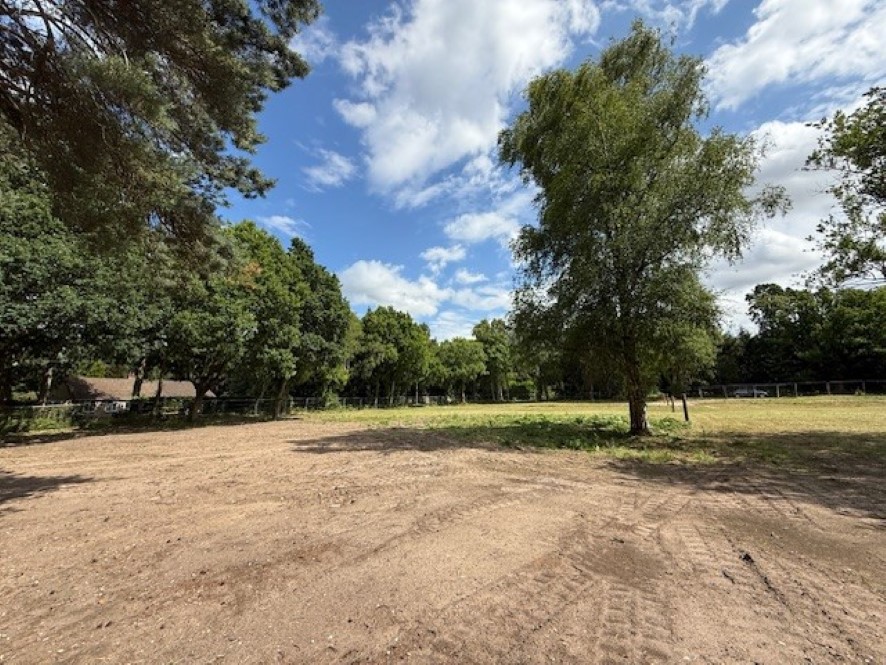 Lot Image