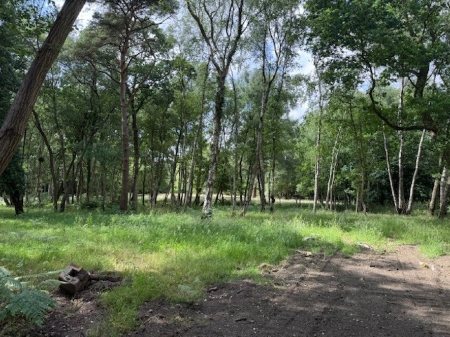 Lot Image