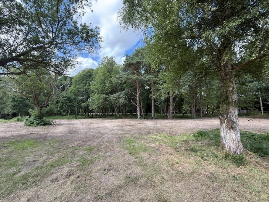 Lot Image