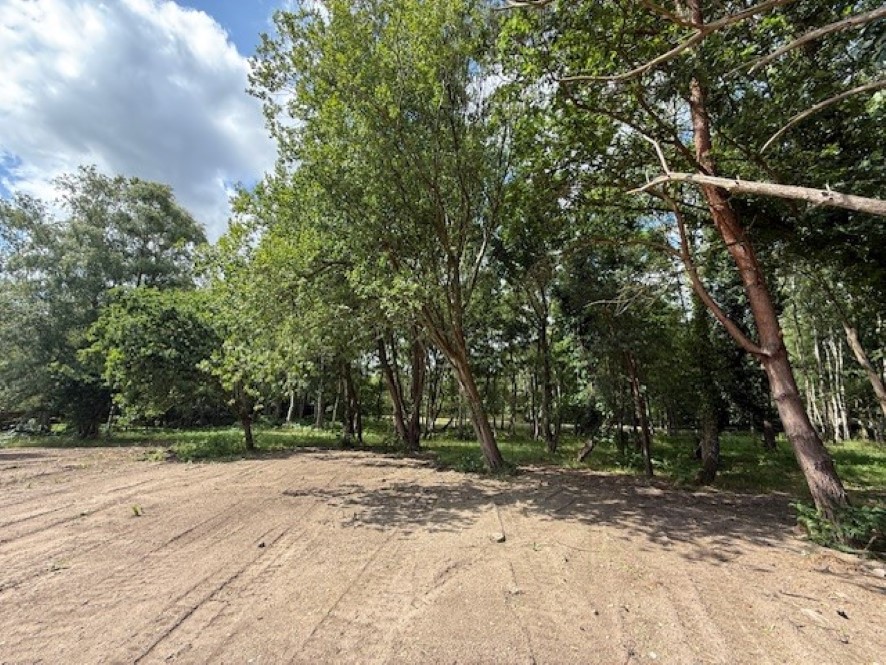 Lot Image