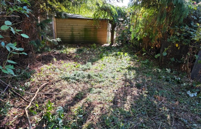 Lot Image
