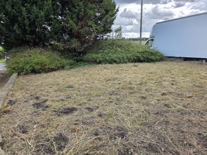 Lot Image