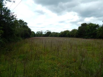 Property for Auction in East Anglia - Land off, Plummers Lane, Saxlingham Nethergate, Norfolk NR15 1TE
