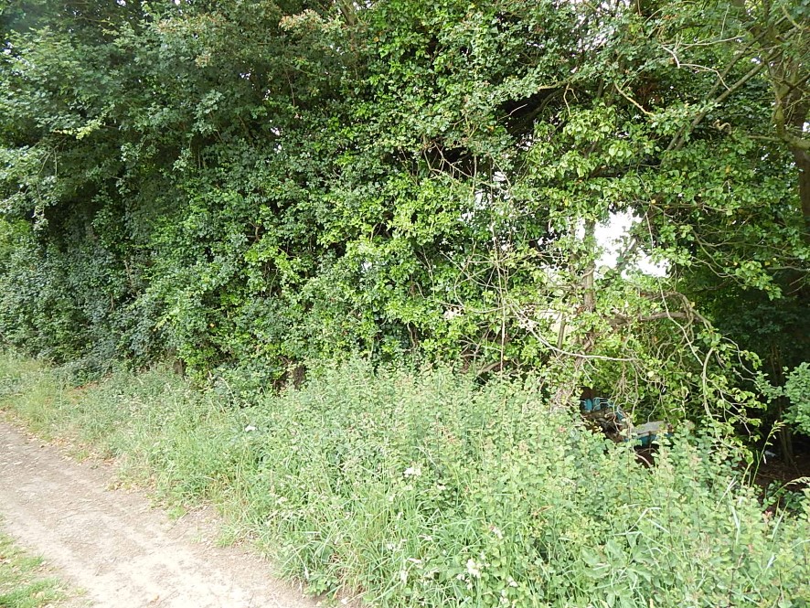 Lot Image