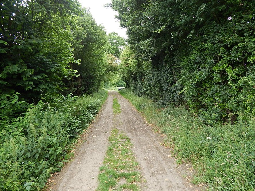 Lot Image