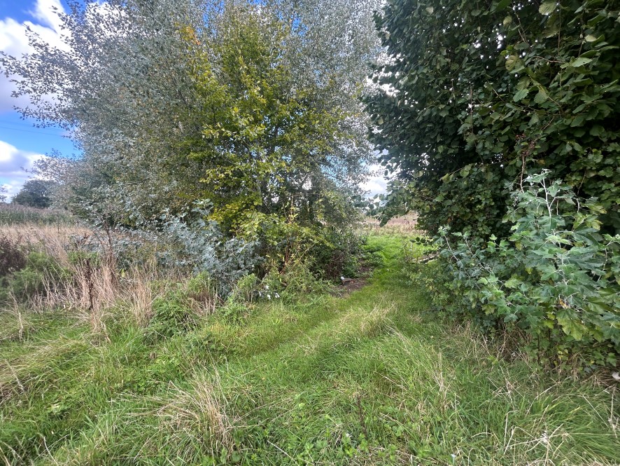 Lot Image