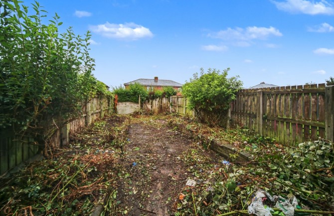 Lot Image