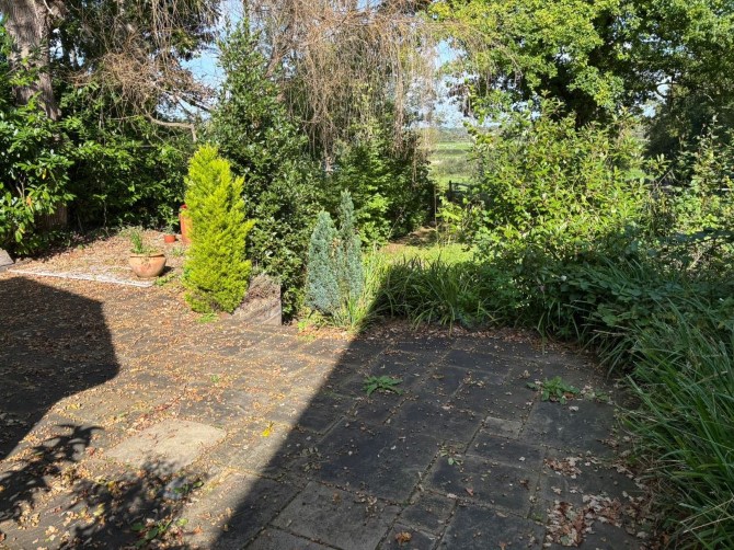 Lot Image