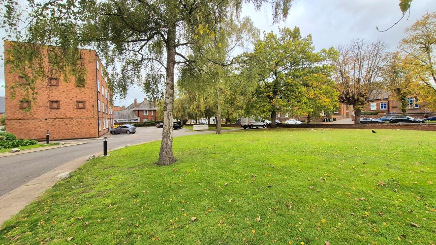 Lot Image