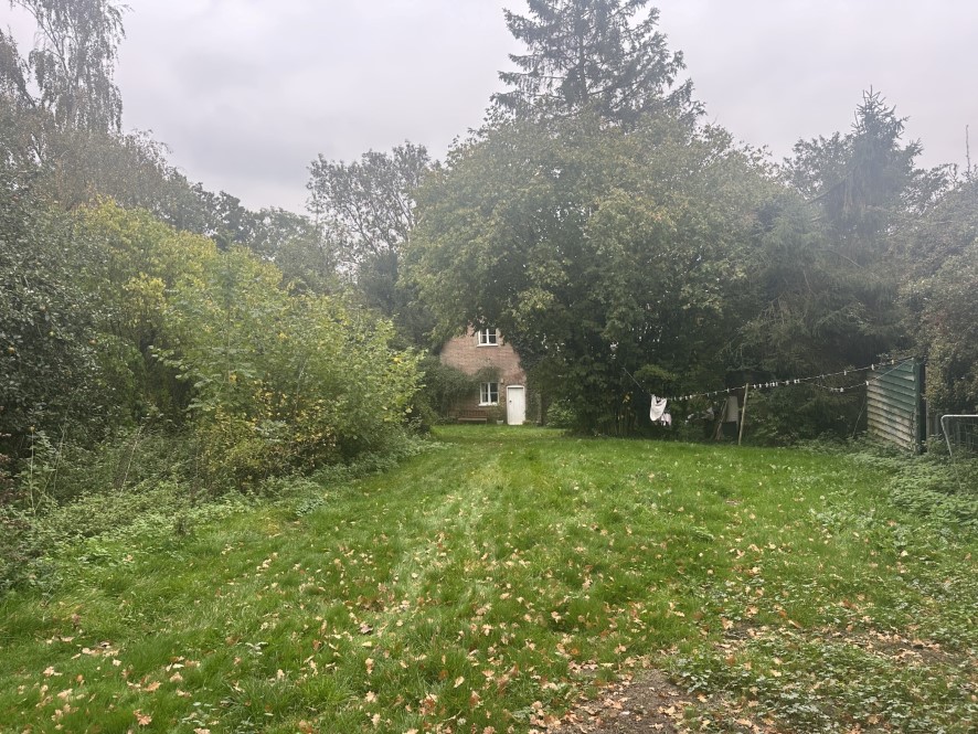 Lot Image