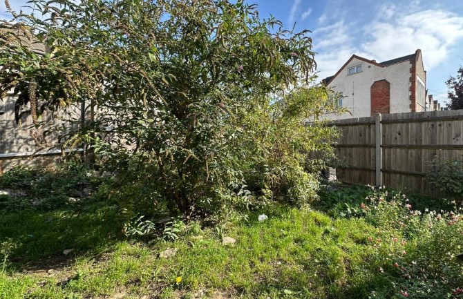 Lot Image