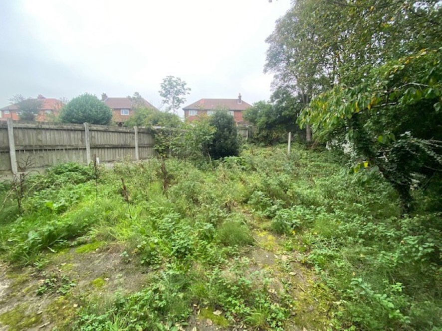 Lot Image