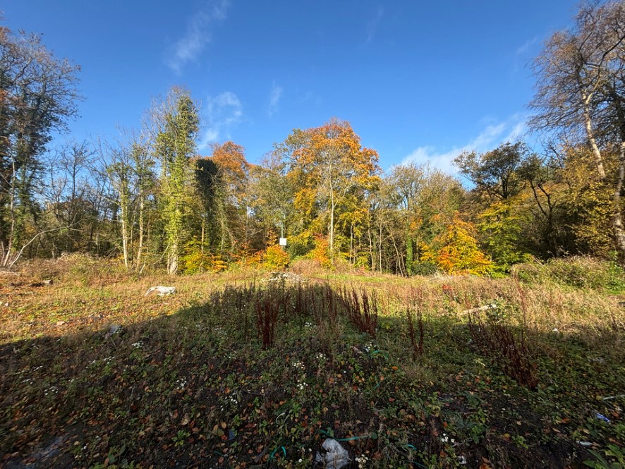 Plots 2 & 3 Braidwood Road, Braidwood, Carluke, Lanarkshire ML8 5NY