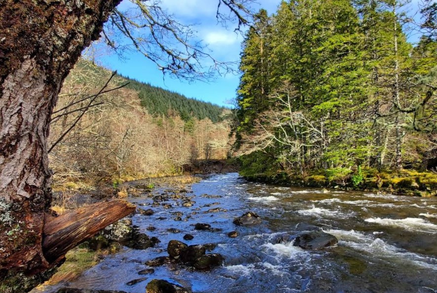 Property for Auction in Scotland - Achnashellach (Gerry’s) Hostel, Craig, Strathcarron, Ross-Shire IV54 8YU