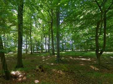 Property for Auction in South West - Land lying to the south east of Stag Hall, Stoke Row Road, Kingwood, Henley-On-Thames, Oxfordshire RG9 5NX