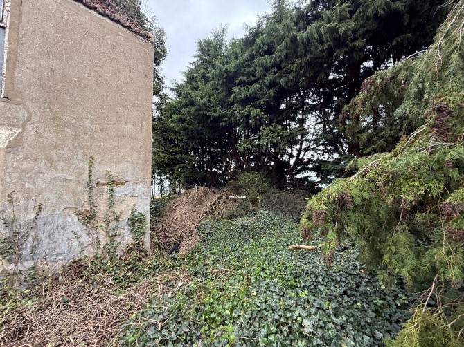 Country House, Oak House Lane, Freiston, Boston, Lincolnshire, PE22 0PJ