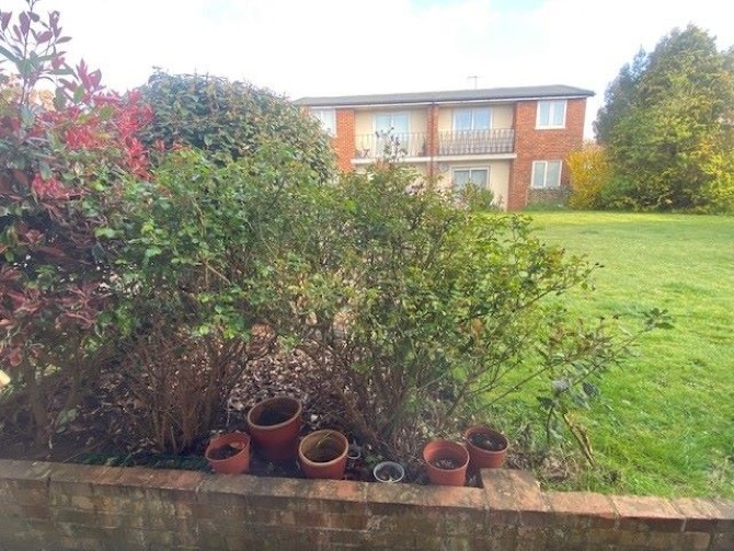 21 Fairlawn Drive, Worthing, BN14 8AX