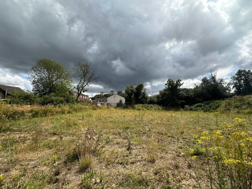 Development site Stokes Avenue, Watton, Thetford, Norfolk IP25 6LP